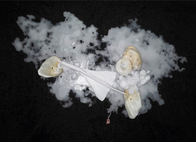 Filip Berendt, from the series Still Life