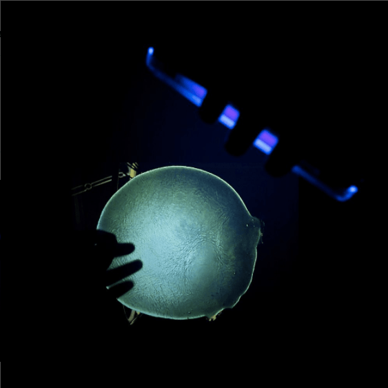 Screen Shot 2017-04-29 at 14.12.37