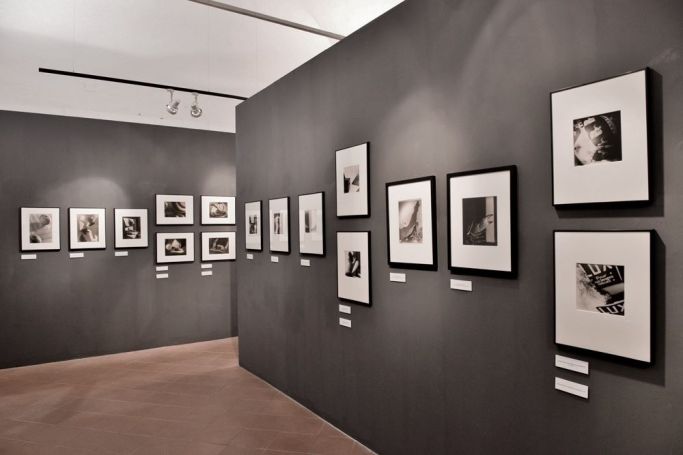 11270230_840325112706845_4074311090283280992_o