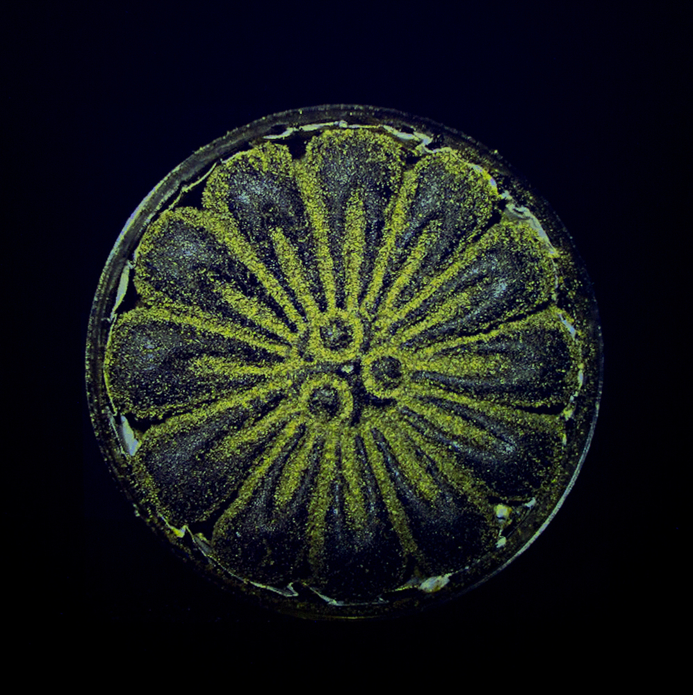 5 - Darkflower Hash 10grams