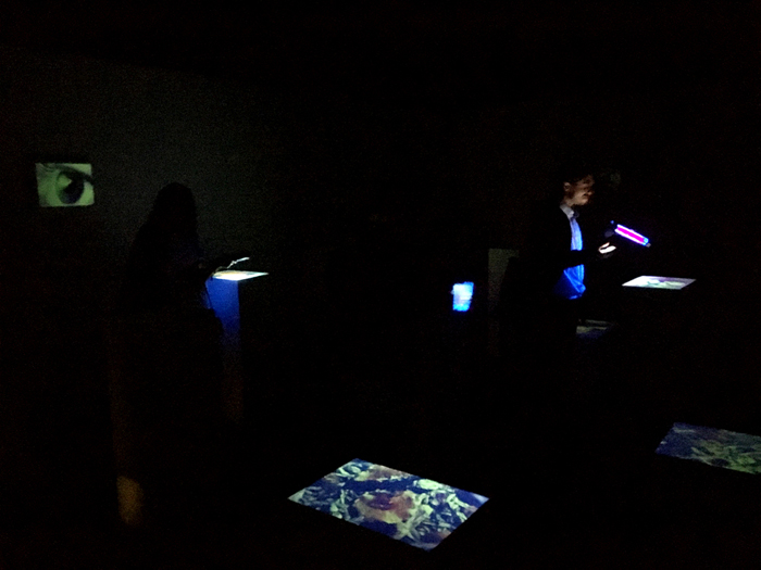 FullSizeRender (15)low_sito