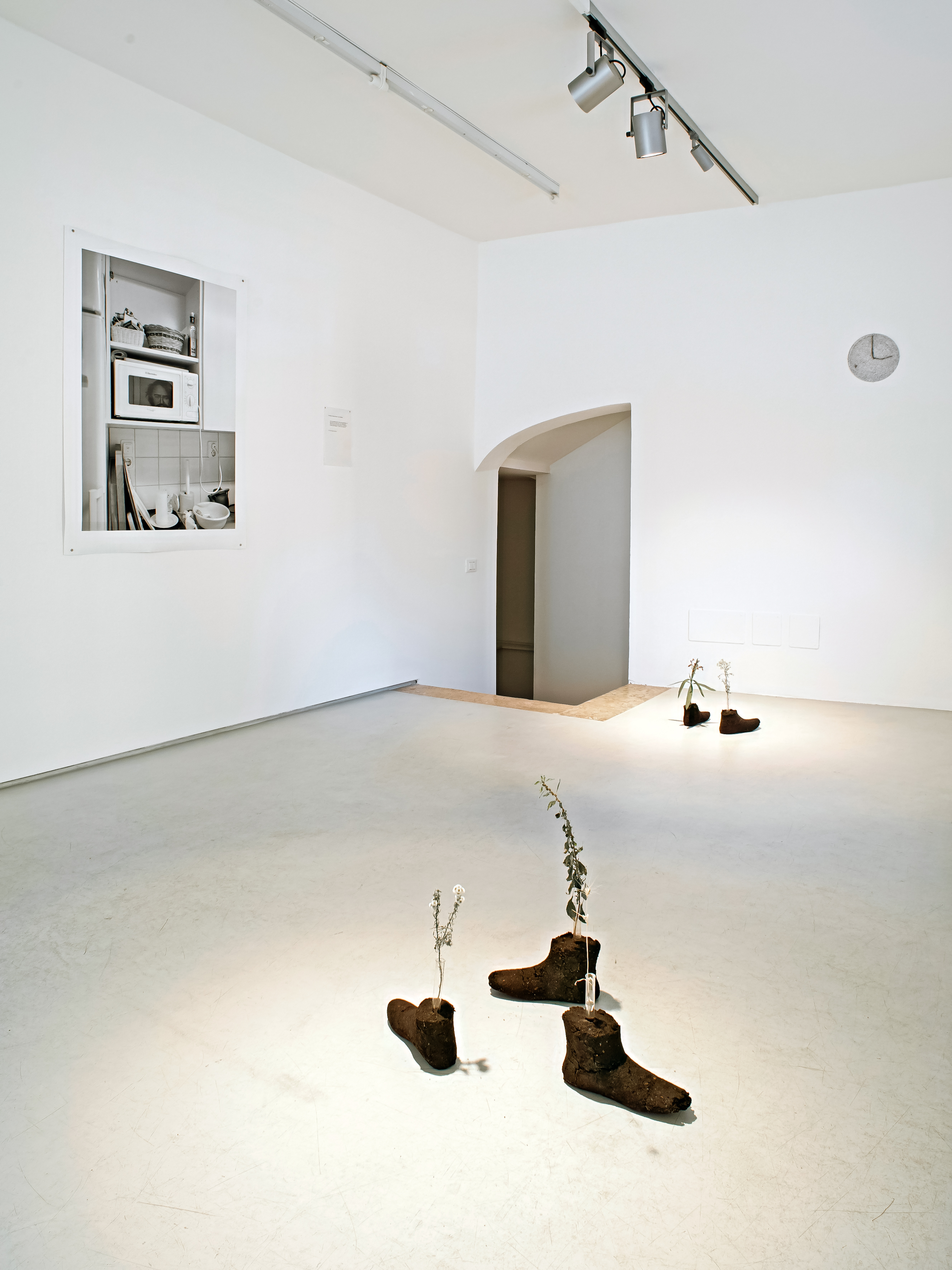 A certain bloom. Installation view