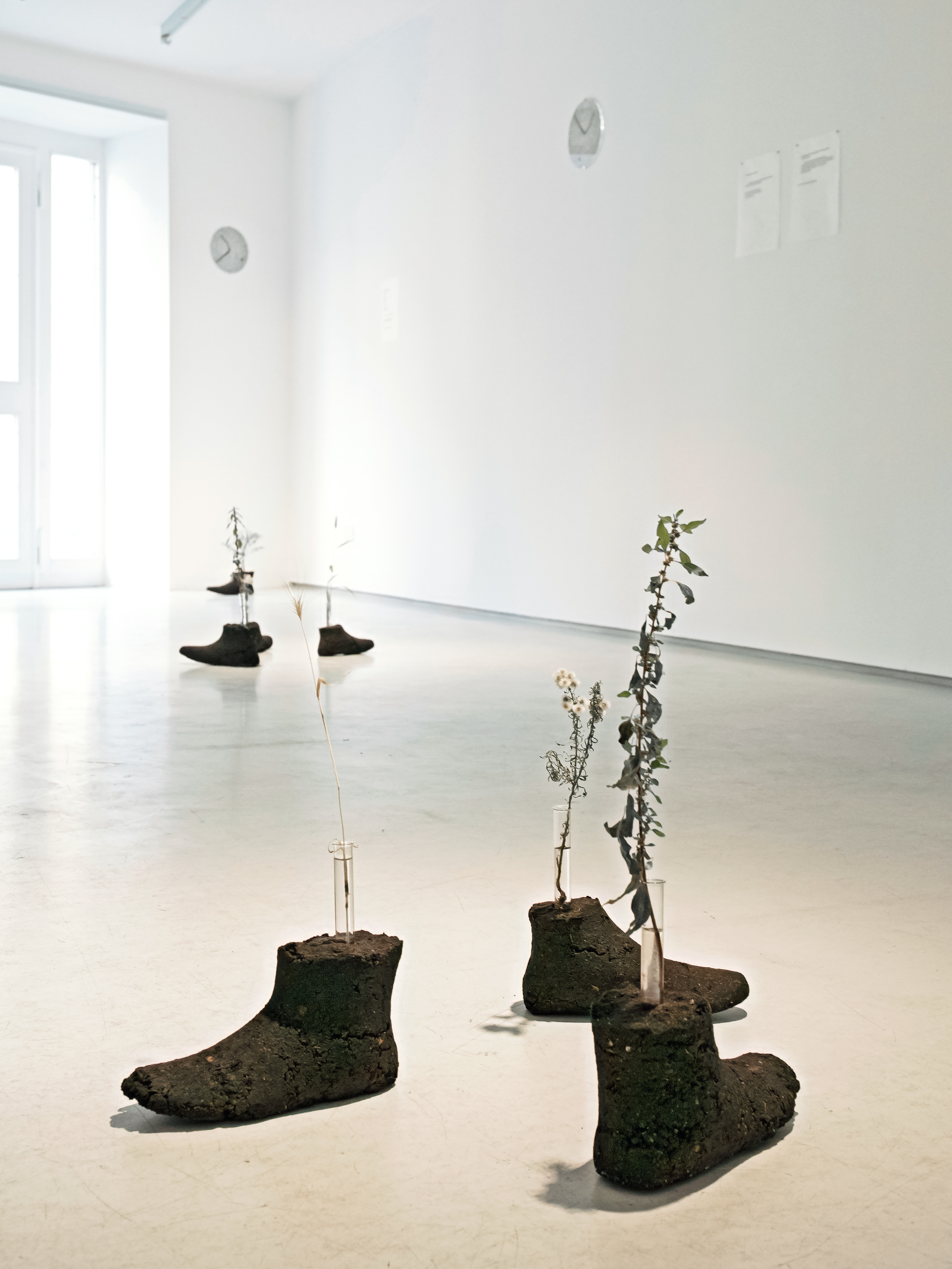 A certain bloom. Installation view