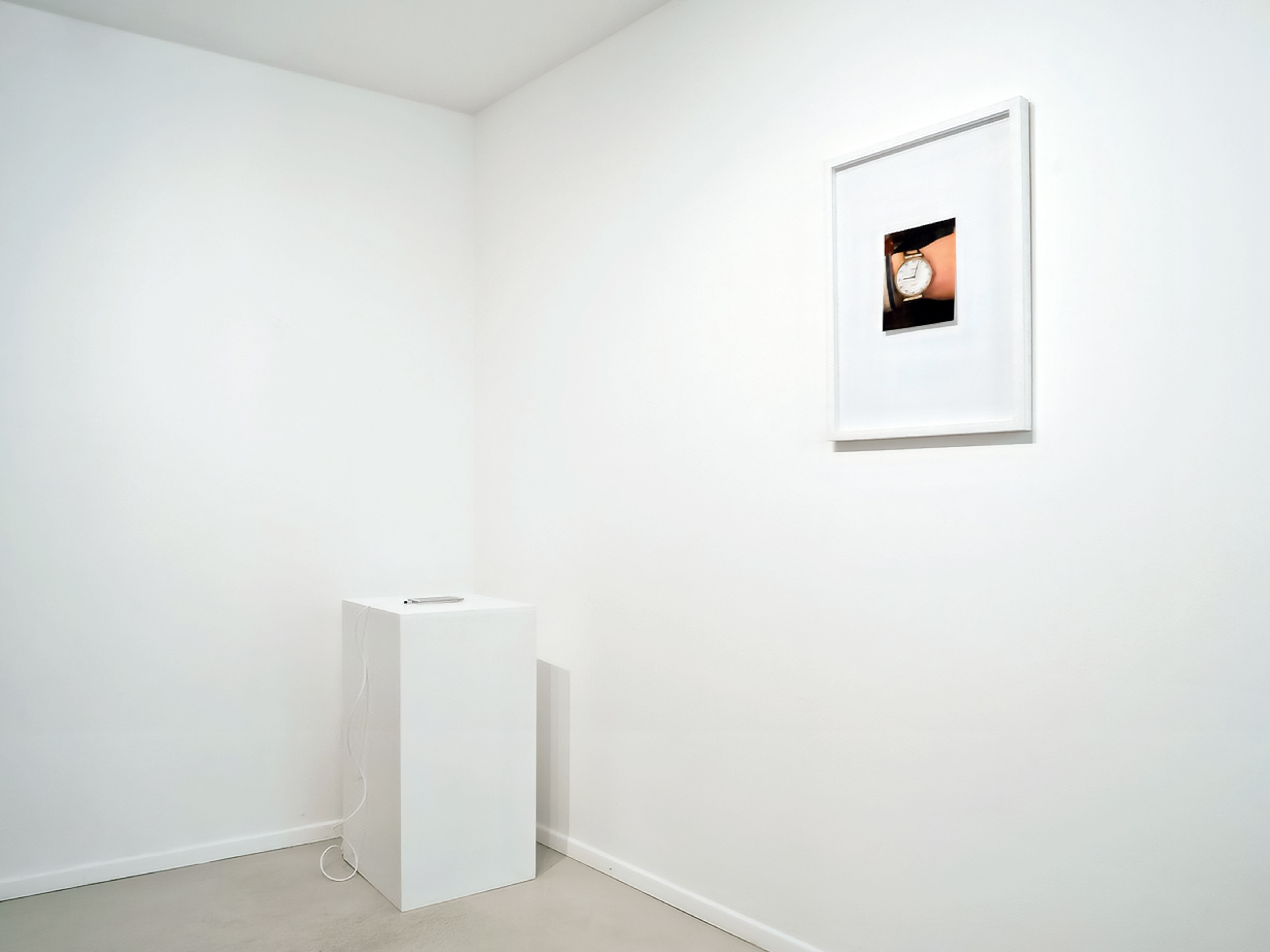 A certain bloom. Installation view