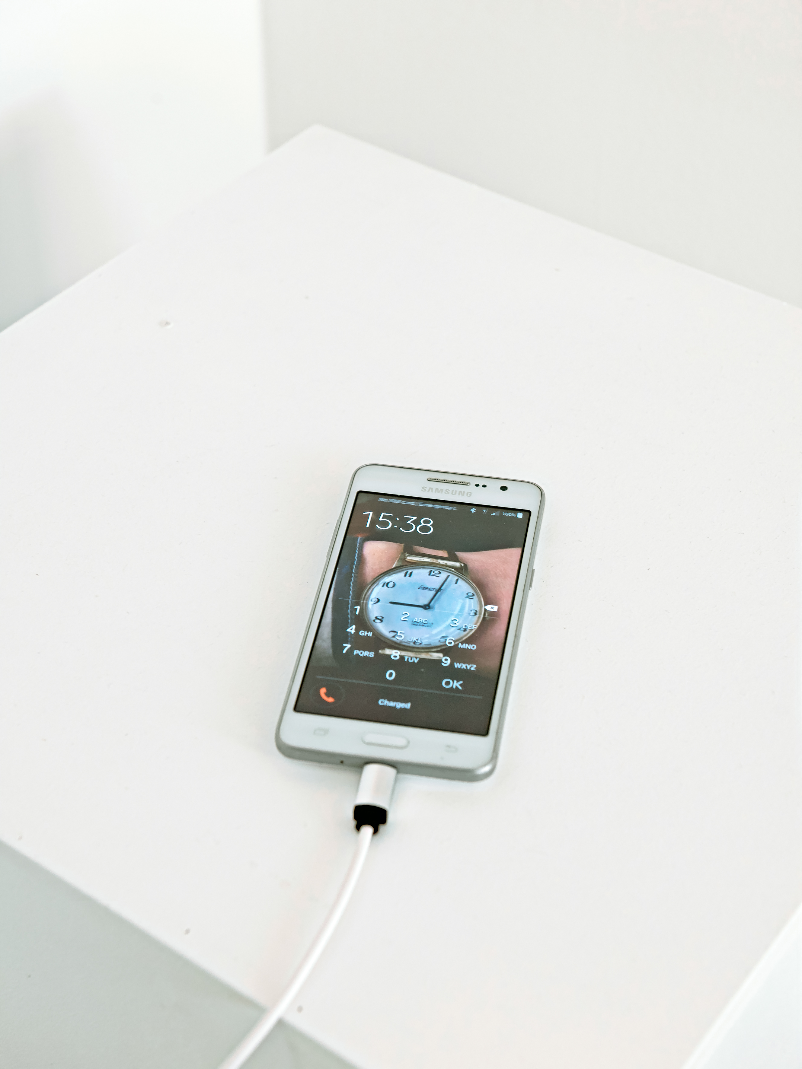 Kristina Bengtsson and Paola Paleari, Flower Alarm, 2019